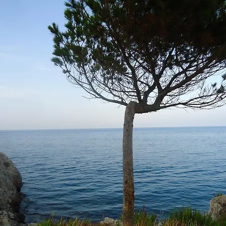 Stella Mare Santa Flavia