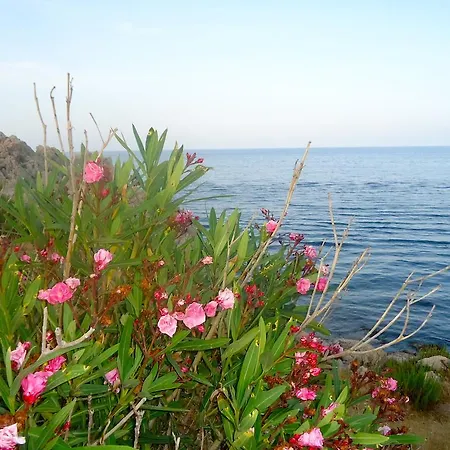 Stella Mare Santa Flavia